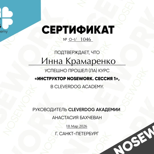 145266a4-155b-46dc-843b-5b6bcd1ae8e5-diploma23999209.png