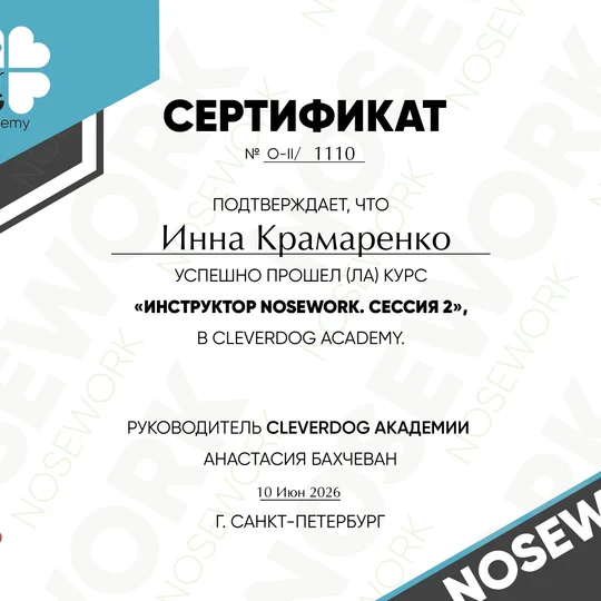 75cabe70-ffdd-4368-8c22-2b0c4ba70c0d-сертификатсессия2.png